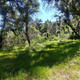 Illustration for article titled Rewarding hike from Saturday in the Matilija Wilderness